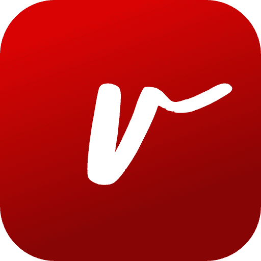 Vidtalk - Random video call